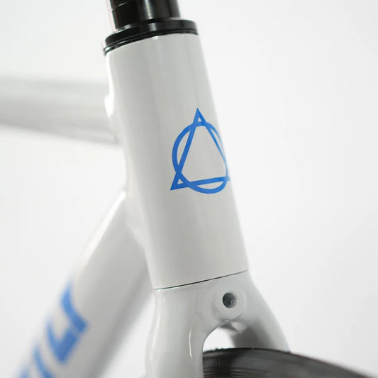 Ardently LITE Bici a scatto fisso 700C 6069 Telaio in alluminio Bicicletta completa Fixie Track a velocità singola con mozzi con cuscinetti industriali