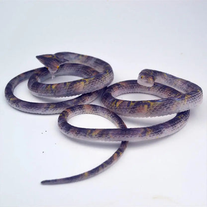 Serpente Di Gomma Finto 70 cm Realistico Per Scherzi Giocattolo Spaventa Regalo