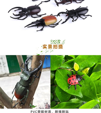 Modello Insetti Realistici Scarabeo Giocattolo Educativo Per Halloween Spavento Gag Novità