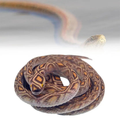 Serpente Di Gomma Finto 70 cm Realistico Per Scherzi Giocattolo Spaventa Regalo