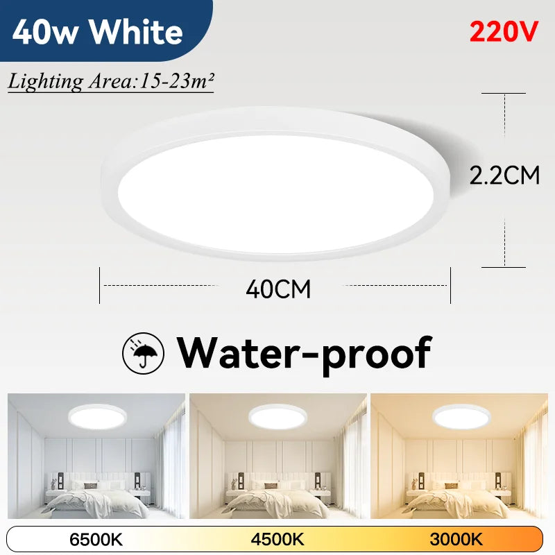 Plafoniera LED Ultra Sottile 2,2 Cm Impermeabile Con Venature Del Legno, 3 Colori Dimmerabili