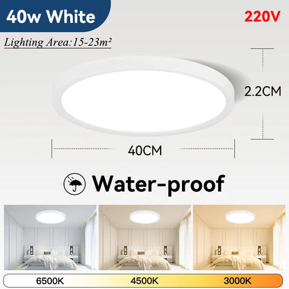 Plafoniera LED Ultra Sottile 2,2 Cm Impermeabile Con Venature Del Legno, 3 Colori Dimmerabili