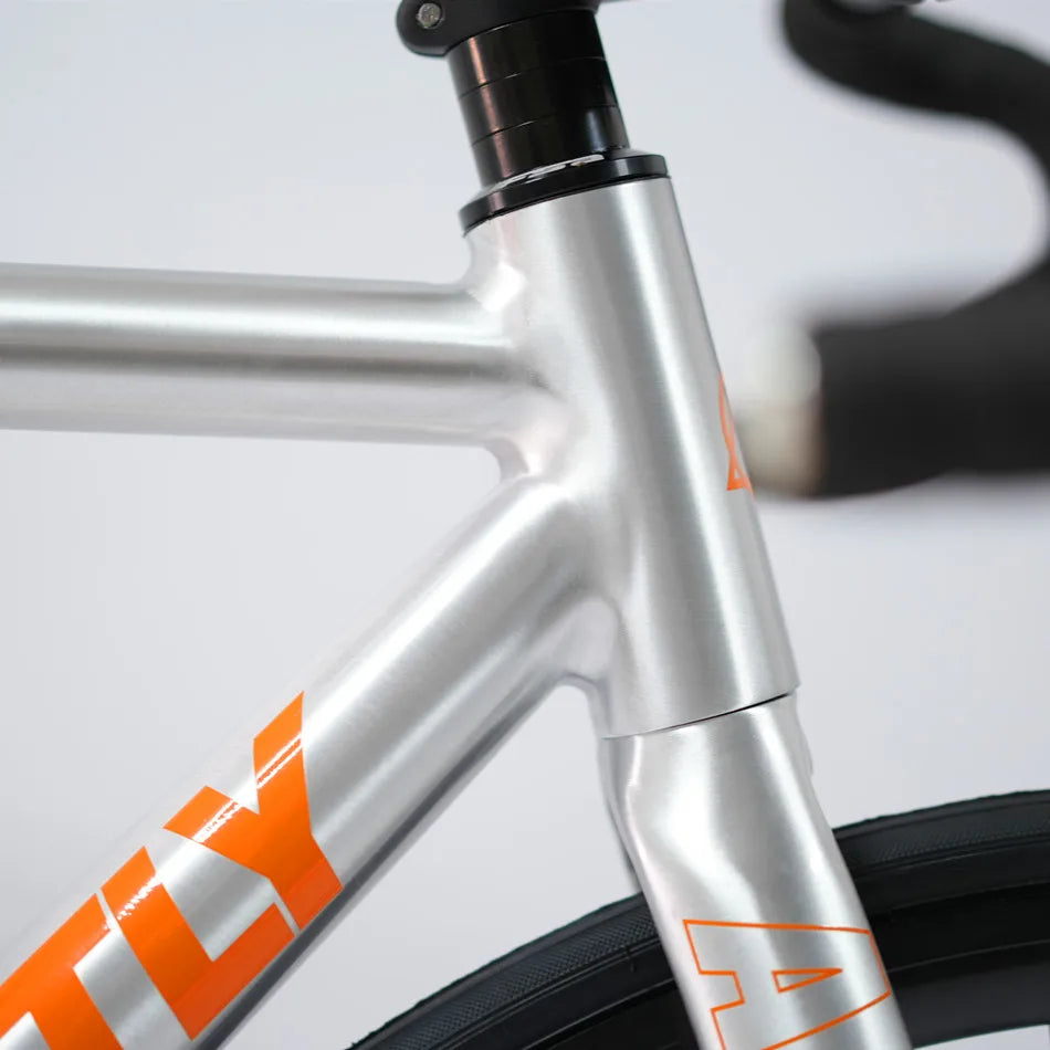 Ardently LITE Bici a scatto fisso 700C 6069 Telaio in alluminio Bicicletta completa Fixie Track a velocità singola con mozzi con cuscinetti industriali