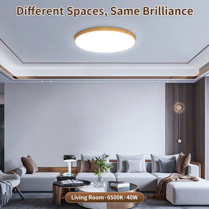 Plafoniera LED Da Soffitto 18W-50W 220V, Illuminazione Moderna Per Soggiorno E Decorazione Casa