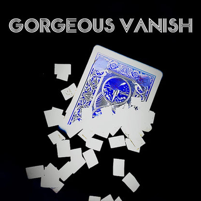 Splendidi trucchi magici che vaniscono carte da gioco che scompare ai fiocchi di neve che apariscono la modifica della carta Magia Close Up Illusioni di strada Espedienti