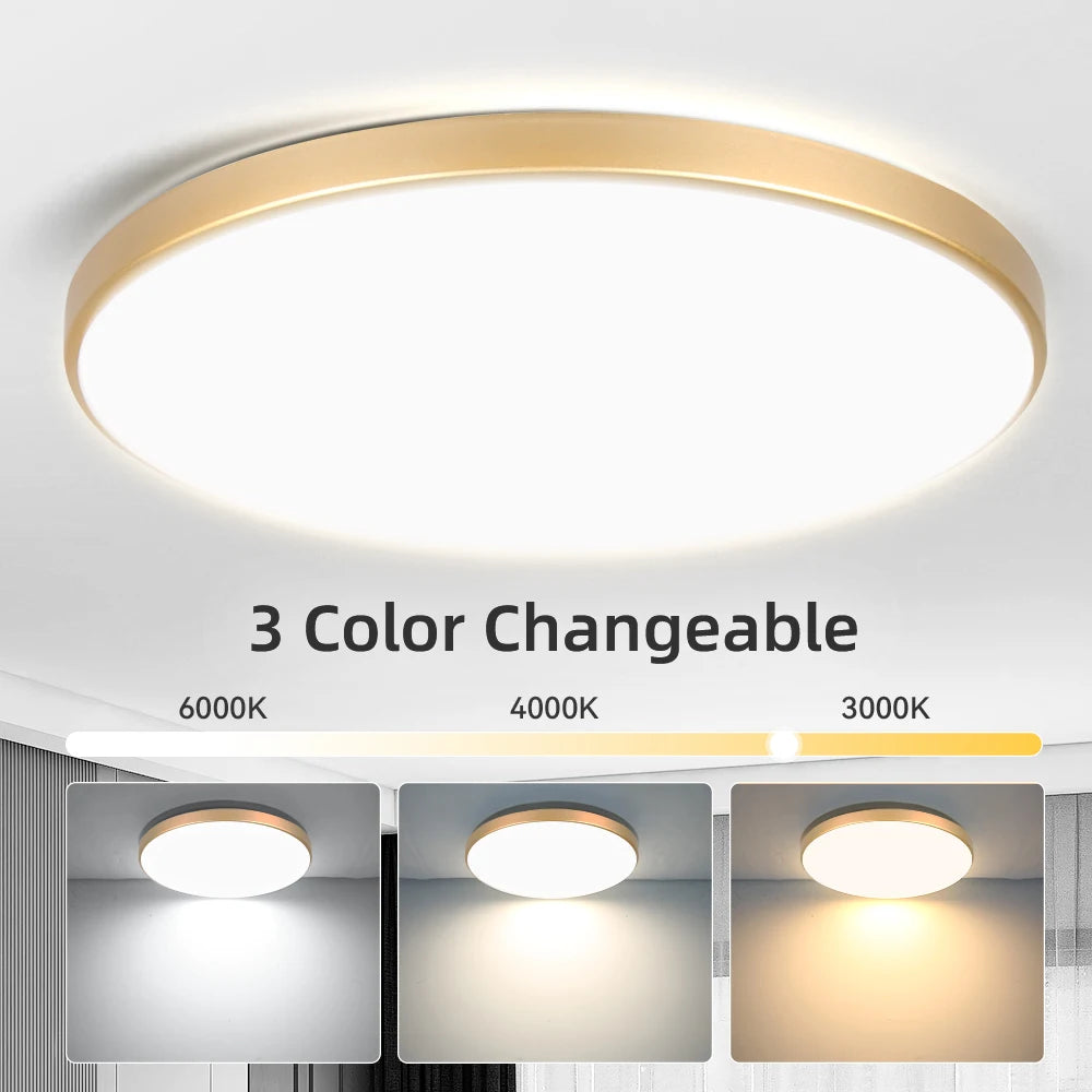 Plafoniera LED Da Soffitto 18W-50W 220V, Illuminazione Moderna Per Soggiorno E Decorazione Casa