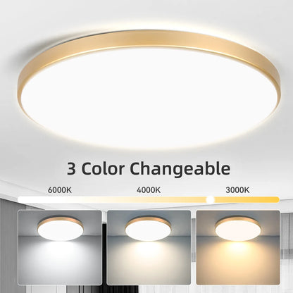 Plafoniera LED Da Soffitto 18W-50W 220V, Illuminazione Moderna Per Soggiorno E Decorazione Casa