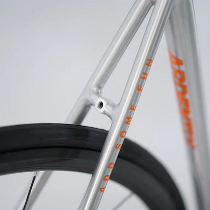 Ardently LITE Bici a scatto fisso 700C 6069 Telaio in alluminio Bicicletta completa Fixie Track a velocità singola con mozzi con cuscinetti industriali