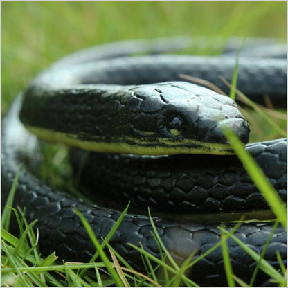 Serpente Giocattolo In Gomma Morbida 130 Cm Realistico Per Scherzi Esterni Da Giardino