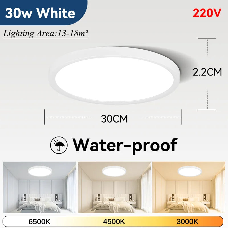 Plafoniera LED Ultra Sottile 2,2 Cm Impermeabile Con Venature Del Legno, 3 Colori Dimmerabili