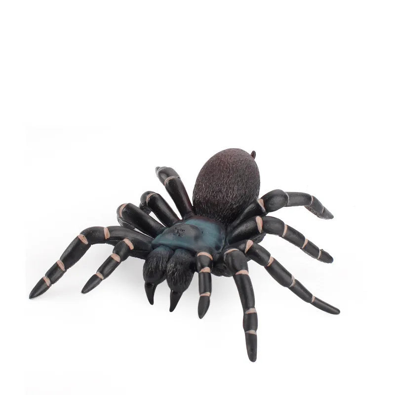 Ragno Finto 10 Cm Modello Realistico Per Scherzi Halloween Giocattolo Divertente Bambini