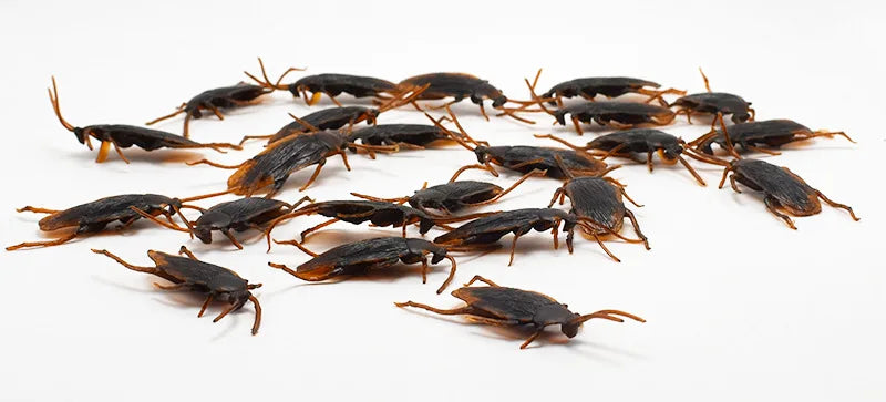 5-50 pezzi gadget di Halloween scarafaggi in plastica scherzo decorazione puntelli giocattolo di gomma bavaglio scherzi pratici giocattoli insetti di plastica scarafaggio