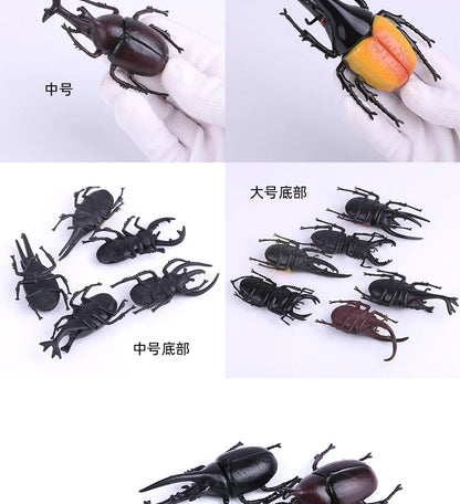 Modello Insetti Realistici Scarabeo Giocattolo Educativo Per Halloween Spavento Gag Novità