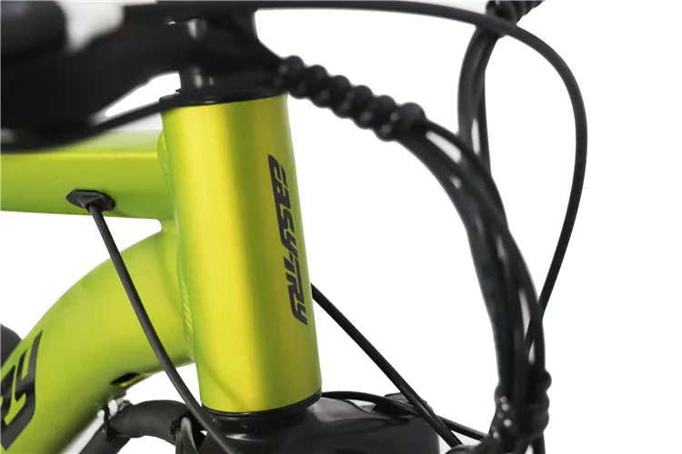 Bicicletta Elettrica Da Montagna 26 Pollici Motore Posteriore 750W 48V Batteria Integrata