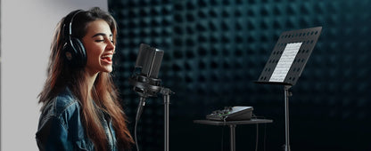 Interfaccia Audio USB MAONO PS22 Lite per PC, Ingresso XLR, 24-bit/192kHz, Software di Routing, Loopback ASIO per Registrazione Musica, Chitarra, DAW