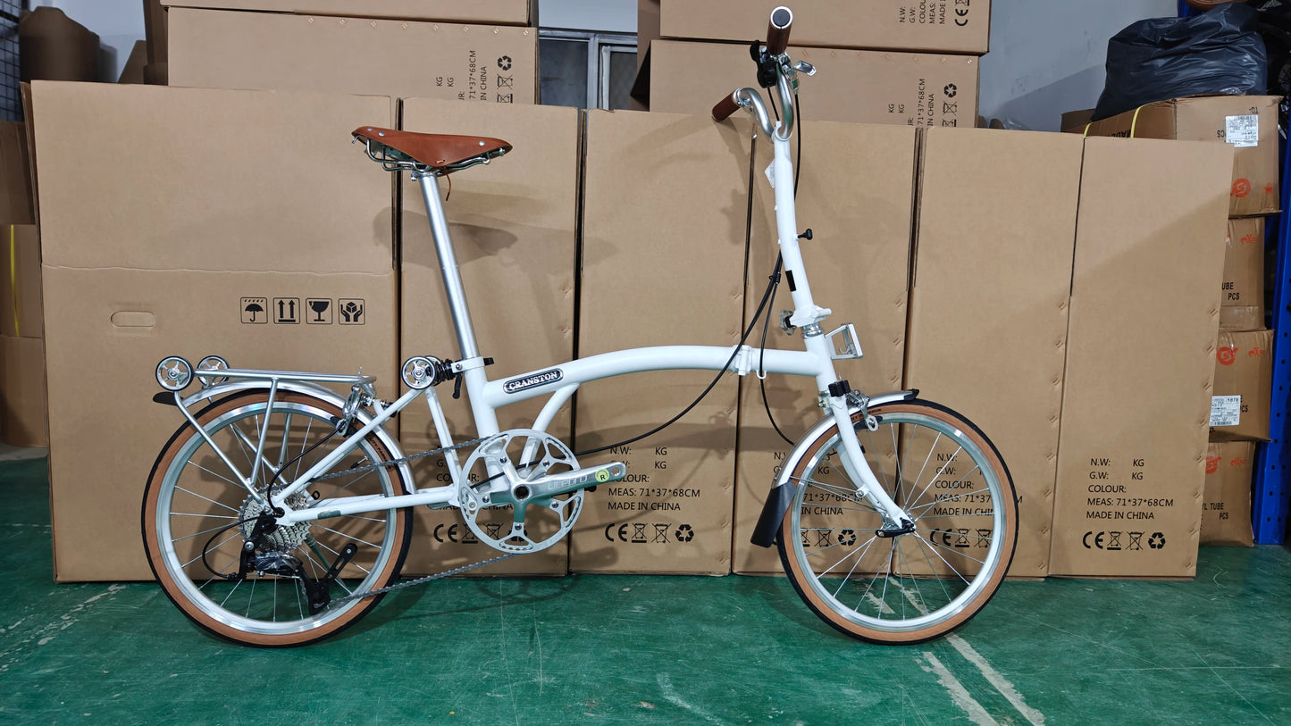 Bicicletta Pieghevole 20 Pollici Da Donna Leggera A 9 Velocità Portatile E Retrò