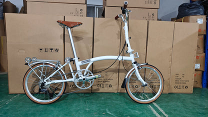 Bicicletta Pieghevole 20 Pollici Da Donna Leggera A 9 Velocità Portatile E Retrò