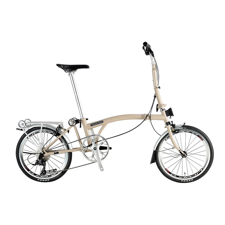 Bicicletta Pieghevole 20 Pollici Da Donna Leggera A 9 Velocità Portatile E Retrò