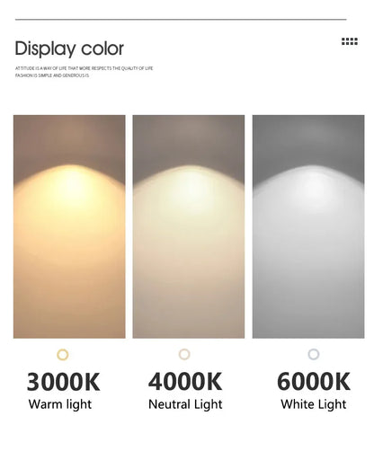 Lampada LED Circolare Sospesa Moderna Oro Rosa Bianco Nero Per Soggiorno E Sala Da Pranzo