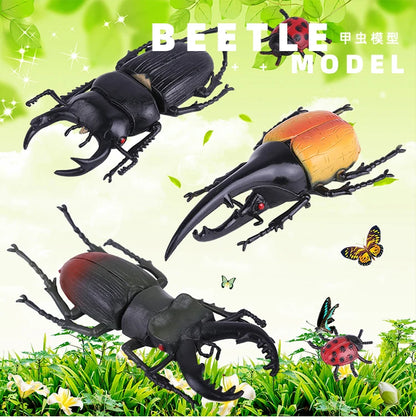 Modello Insetti Realistici Scarabeo Giocattolo Educativo Per Halloween Spavento Gag Novità