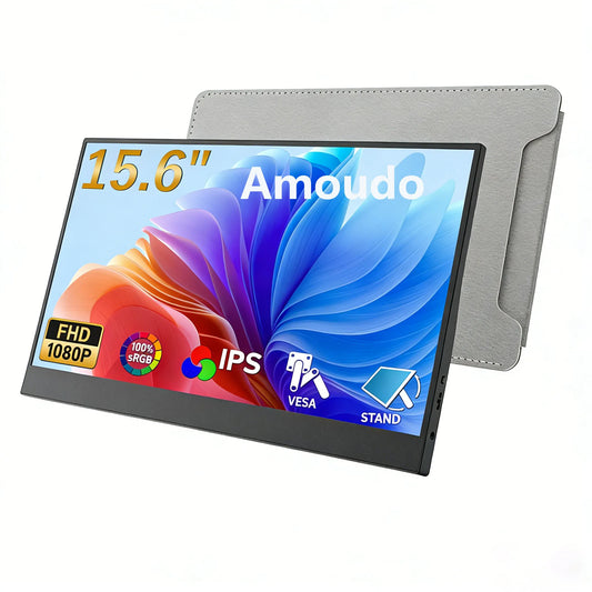 Monitor Portatile 15,6 Pollici FHD IPS 1920x1080 con USB C e Mini HDMI, Vesa, Display Esterno