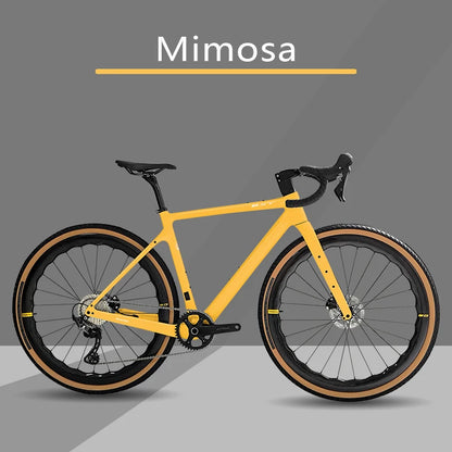 Bici Gravel In Fibra Di Carbonio 700C GRX 600 11 Velocità Con Ruote E Forcella In Carbonio