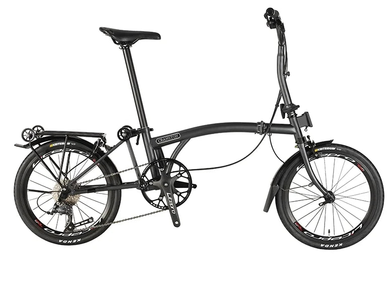 Bicicletta Pieghevole 20 Pollici Da Donna Leggera A 9 Velocità Portatile E Retrò
