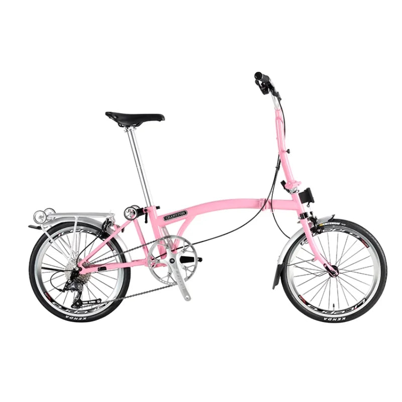 Bicicletta Pieghevole 20 Pollici Da Donna Leggera A 9 Velocità Portatile E Retrò
