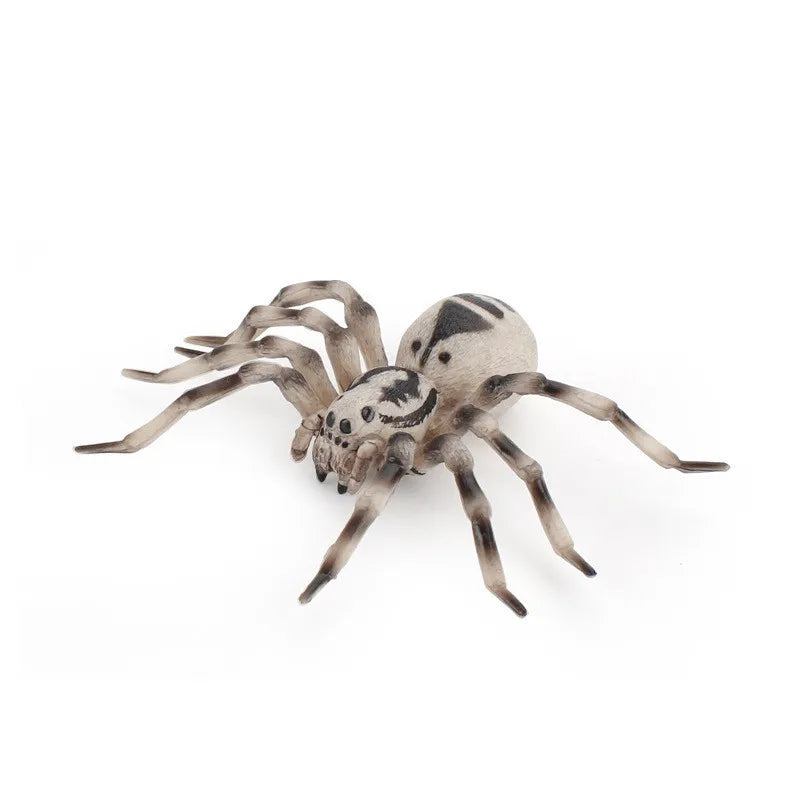 Ragno Finto 10 Cm Modello Realistico Per Scherzi Halloween Giocattolo Divertente Bambini