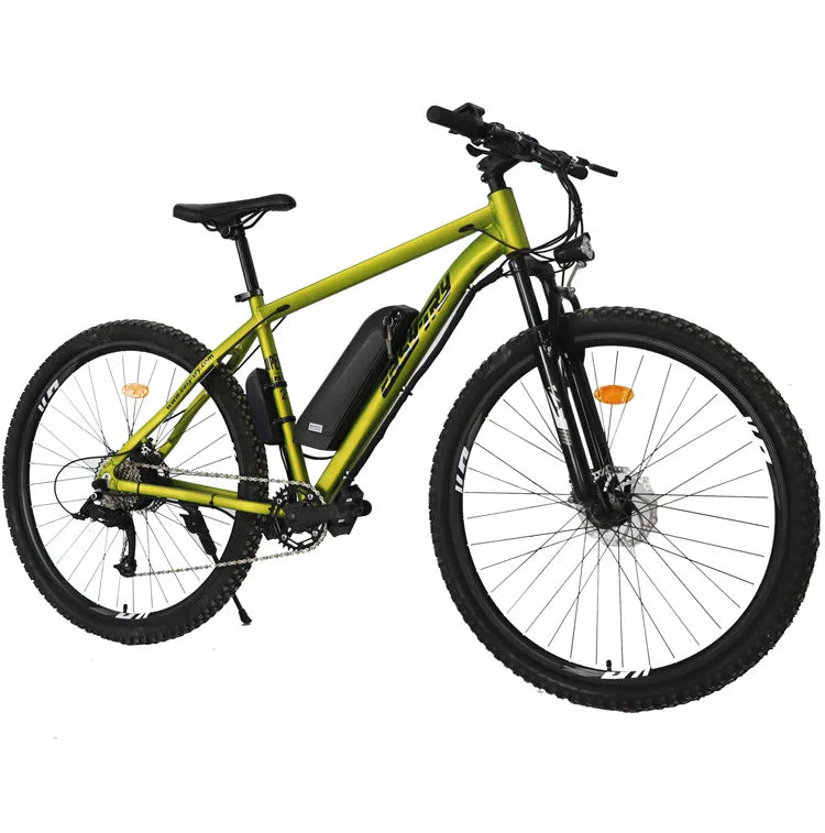 Bicicletta Elettrica Da Montagna 26 Pollici Motore Posteriore 750W 48V Batteria Integrata