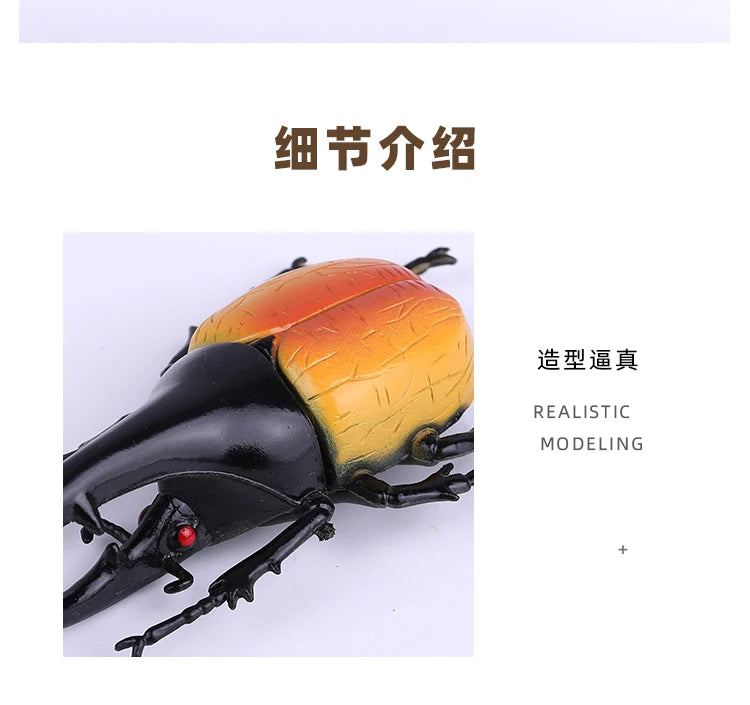 Modello Insetti Realistici Scarabeo Giocattolo Educativo Per Halloween Spavento Gag Novità