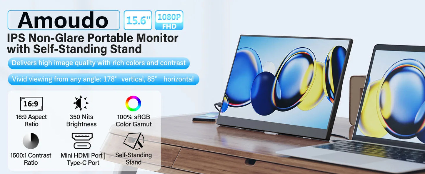 Monitor Portatile 15,6 Pollici FHD IPS 1920x1080 con USB C e Mini HDMI, Vesa, Display Esterno