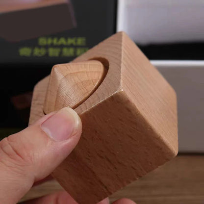 Blocchi Di Legno Per Magia Rompicapo Gioco Mentale Da Adulti E Adolescenti Stimola Creatività E Concentrazione
