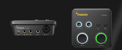 Interfaccia Audio USB MAONO PS22 Lite per PC, Ingresso XLR, 24-bit/192kHz, Software di Routing, Loopback ASIO per Registrazione Musica, Chitarra, DAW