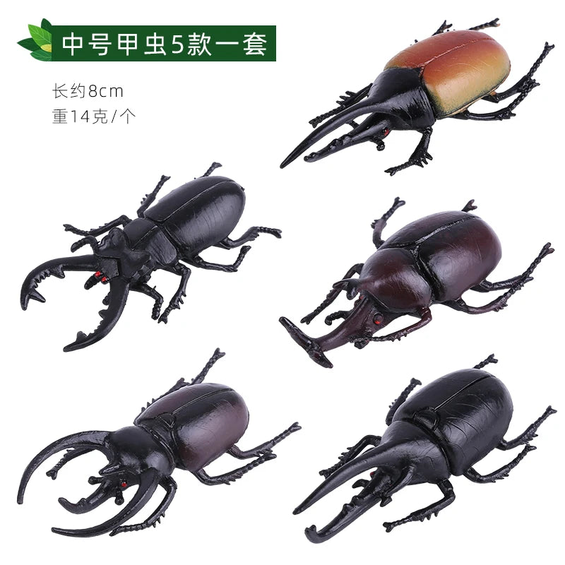 Modello Insetti Realistici Scarabeo Giocattolo Educativo Per Halloween Spavento Gag Novità
