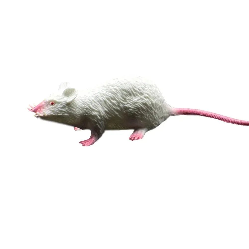 Mouse In Simulazione Realistica In PVC Leggero Per Scherzi Notturni E Trucchi Da Gioco