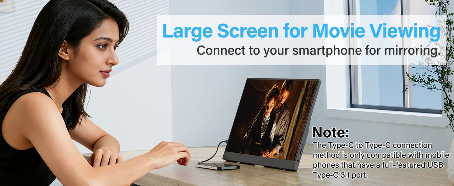 Monitor Portatile 15,6 Pollici FHD IPS 1920x1080 con USB C e Mini HDMI, Vesa, Display Esterno