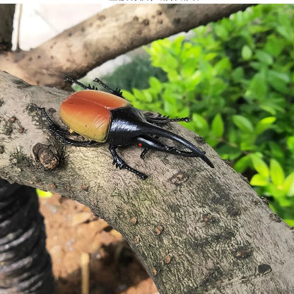 Modello Insetti Realistici Scarabeo Giocattolo Educativo Per Halloween Spavento Gag Novità