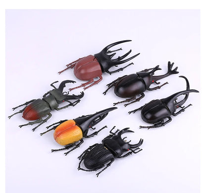 Modello Insetti Realistici Scarabeo Giocattolo Educativo Per Halloween Spavento Gag Novità