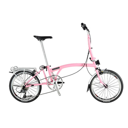 Bicicletta Pieghevole 20 Pollici Da Donna Leggera A 9 Velocità Portatile E Retrò