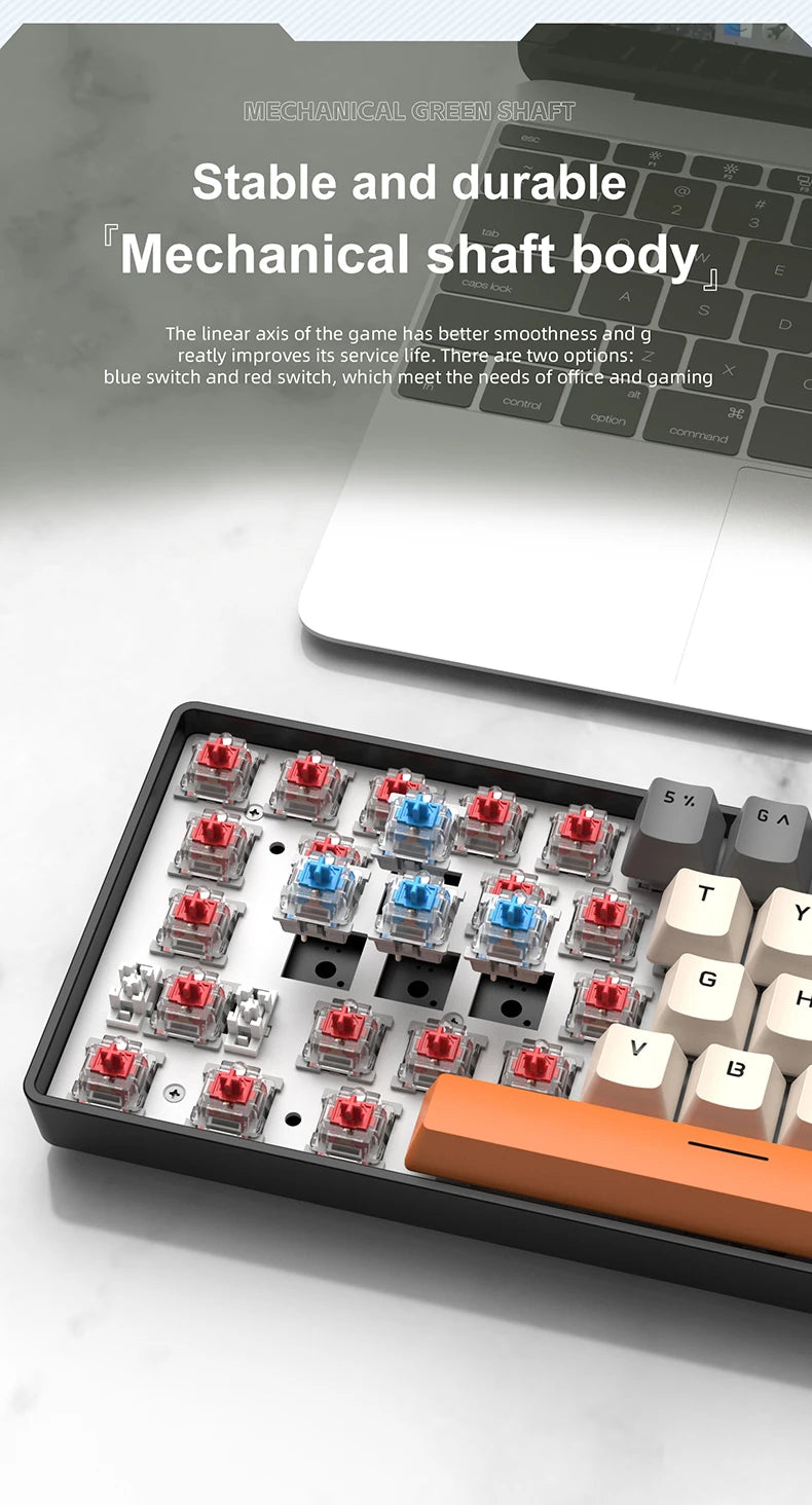 Tastiera Meccanica Portatile A 61 Tasti Cablata Con RGB Phantom Risposta Gaming Design Ergonomico Per Ufficio E Giochi