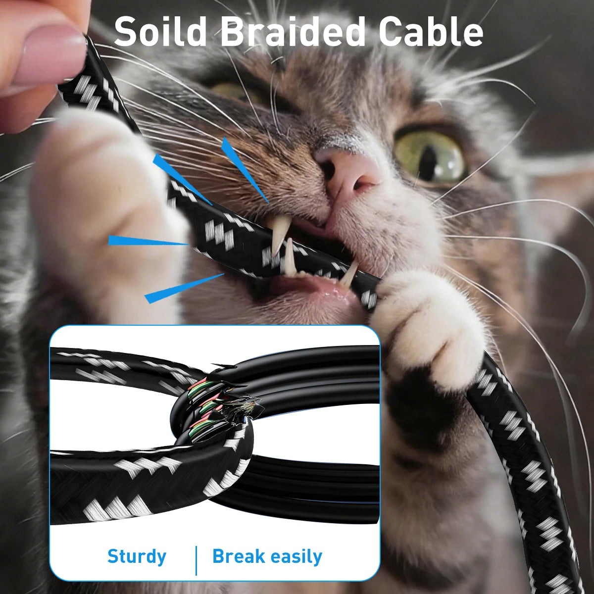 Cavo Ethernet Cat8 ZoeRax 40 Gbps Schermato Compatibile con Cat6a 7 8 Lunghezza Variabile da 0.3 a 30 m