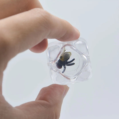 Set Scherzi Del Primo Aprile Cubetti Ghiaccio Finti Con Insetti E Mosche Realistici Per Giochi Sicuri