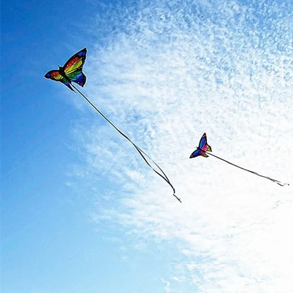 Aquilone Farfalla Colorato Da 1,45 M Per Bambini Volo Facile E Stabile Con Coda Lunga Esterno
